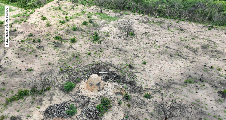Fotografia aérea de trecho desmatado da caatinga