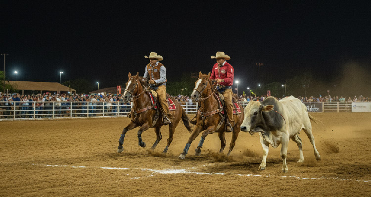 Fotografia de peões a cavalo correndo atrás de boi em arena de rodeio