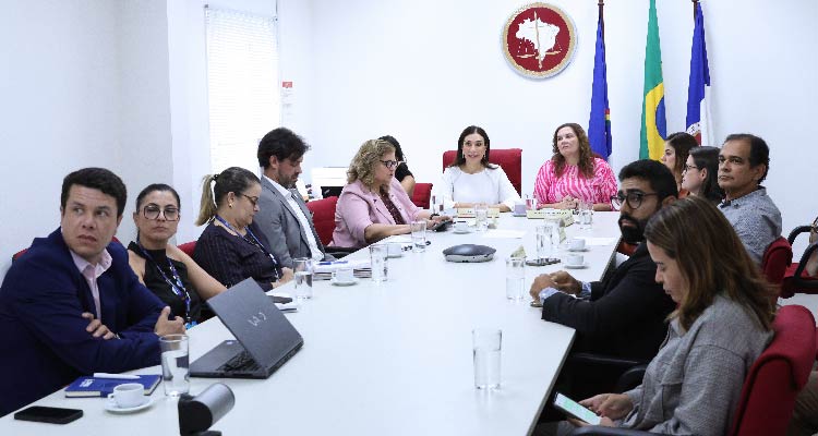 Fotografia de integrantes da reunião sentados em volta da mesa