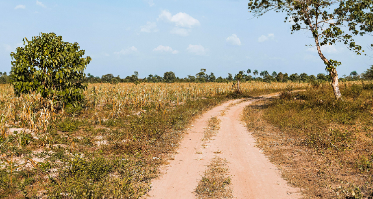 Imagem de estrada de barro em zona rural