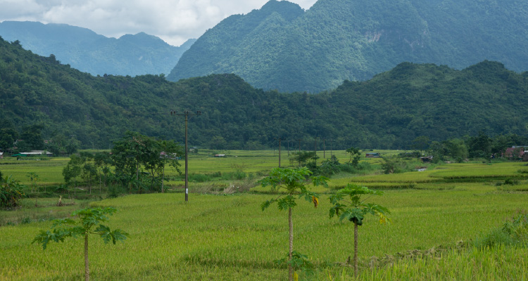 Imagem de paisagem bucólica