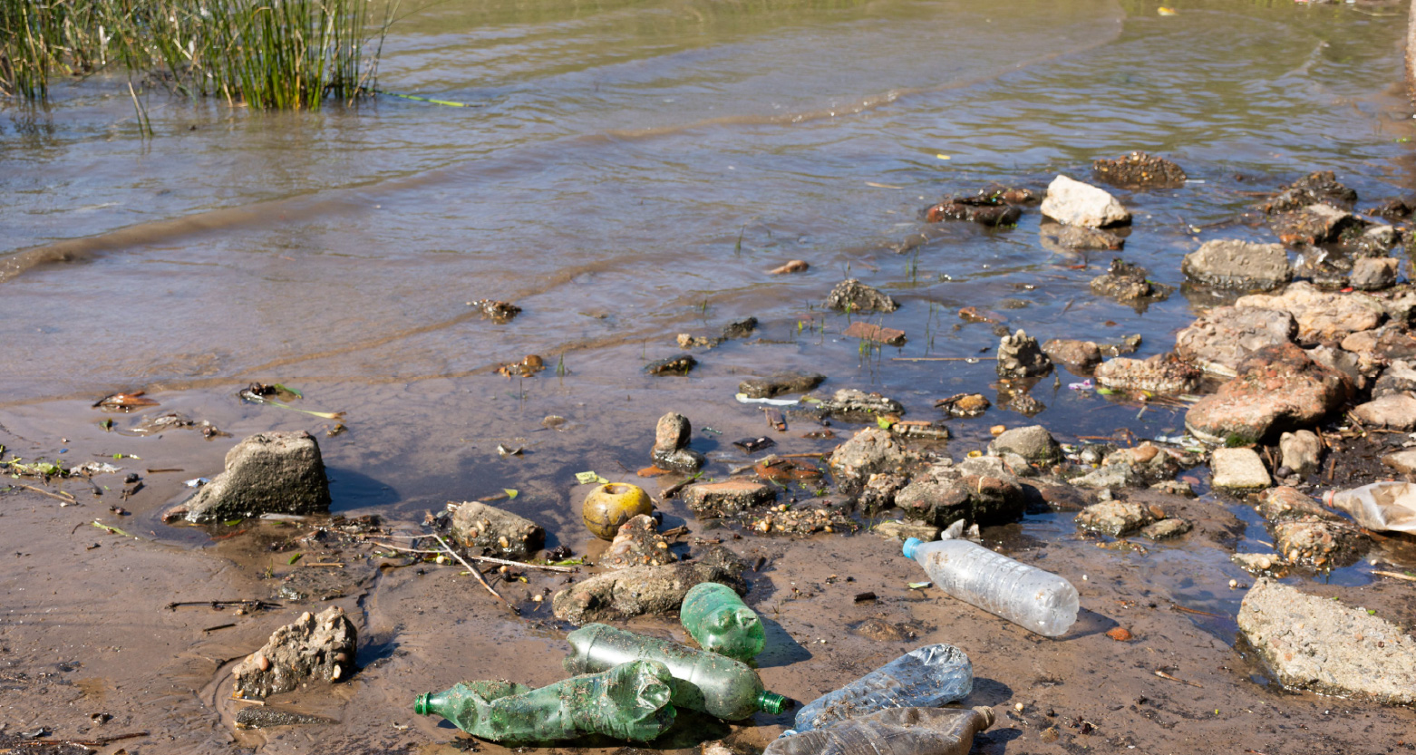 Fotografia de poluição em margem de riacho