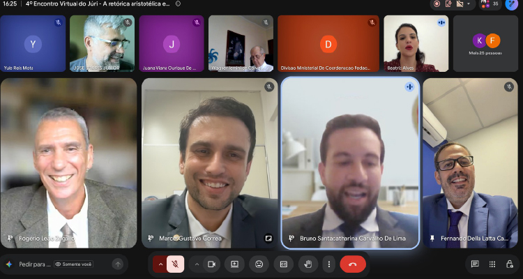 Print de tela com os participantes da reunião virtual