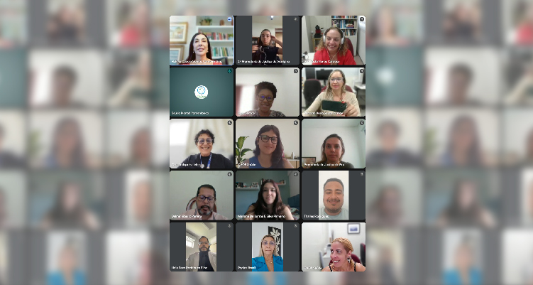 Print da tela com participantes online