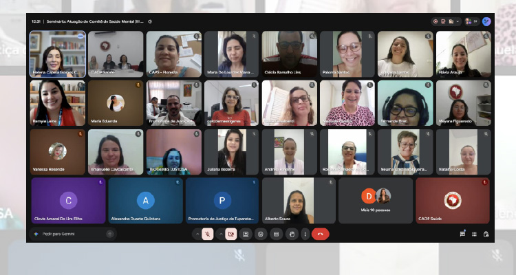 Print de tela com os participantes da reunião