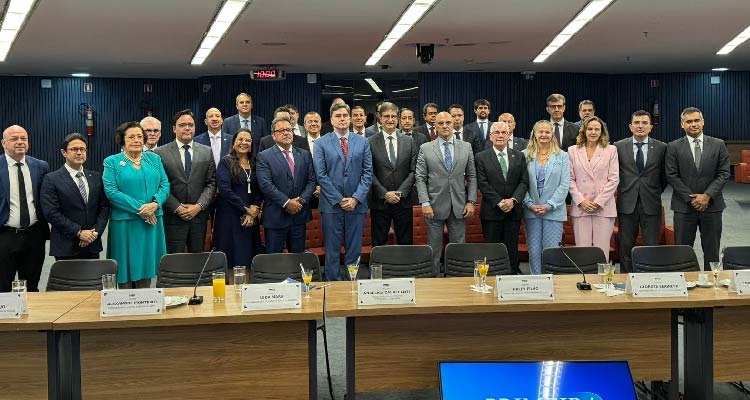 Fotografia de participantes da reunião posando em pé lado a lado