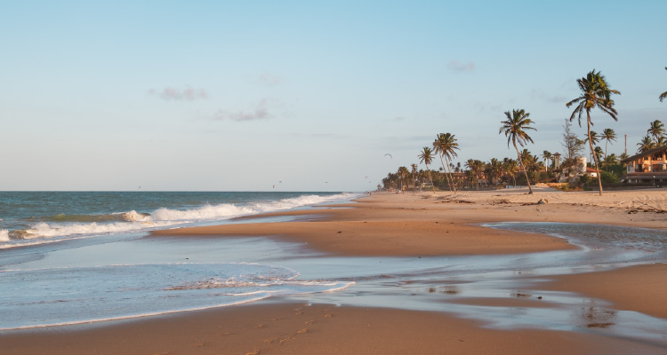 Imagem de praia com coqueiros