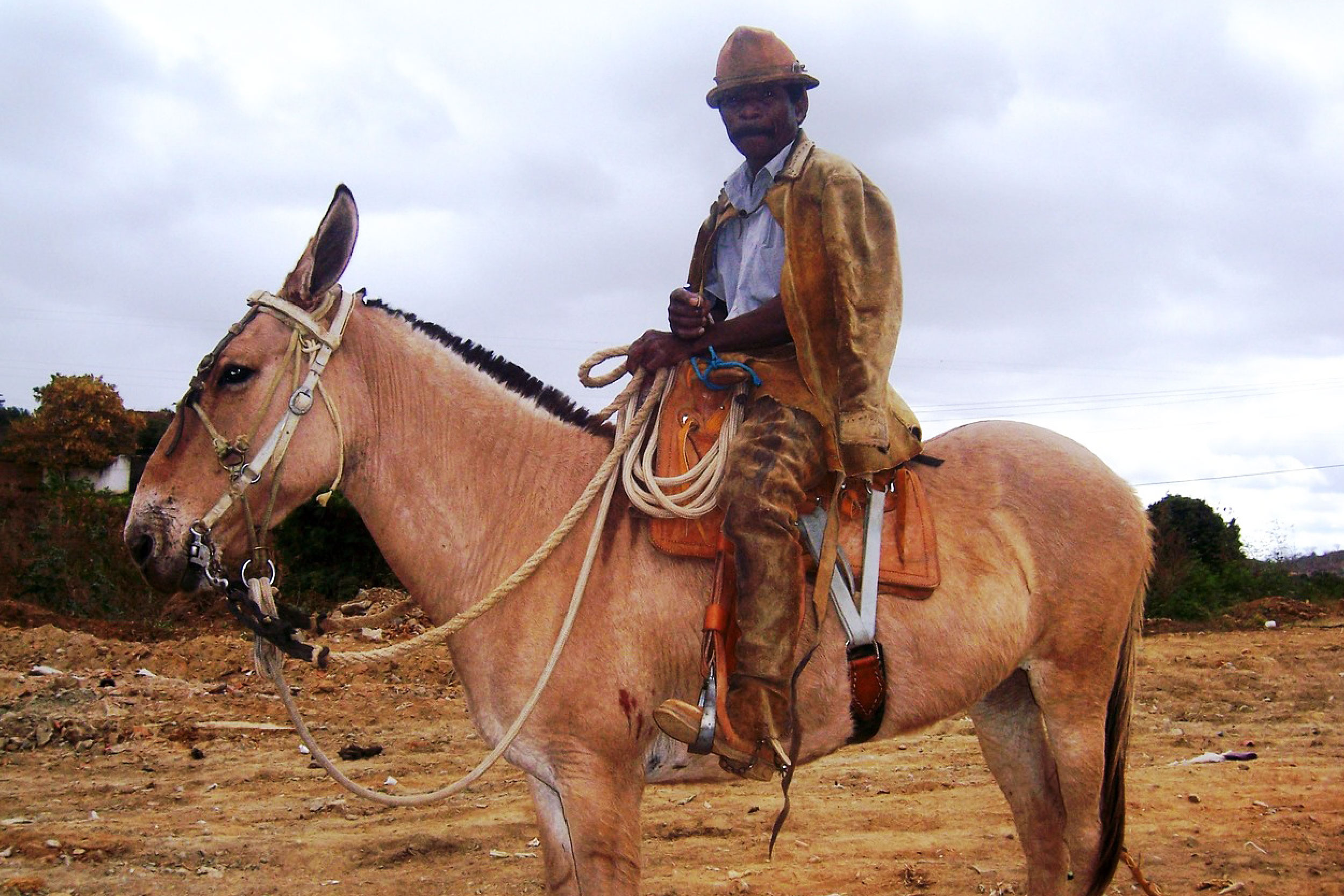 Fotografia de vaqueiro paramentado montado em cavalo